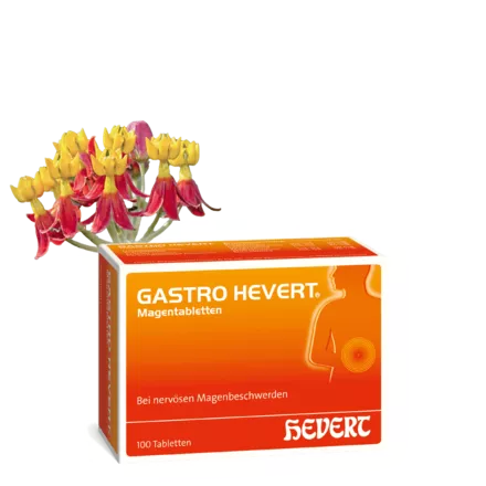 Gastro Hevert Magentabletten
