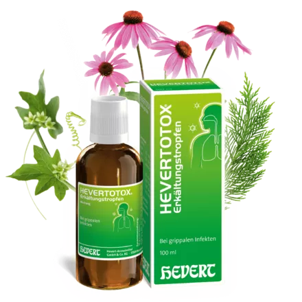 Hevertotox Erkältungstropfen